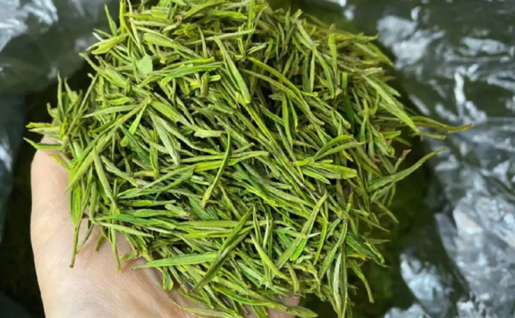 What is the tea-to-water ratio for brewing Huangjinya?