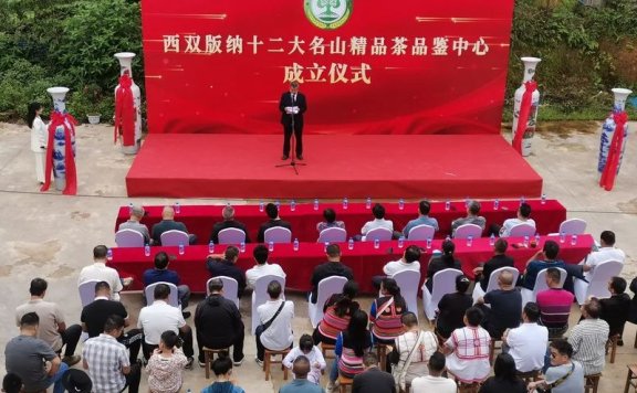 Tasting Pu’er Tea, Displaying the Beauty of Chinese Tea Charm