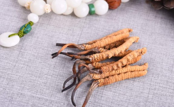 Brewing Method and Benefits of Cordyceps Tea