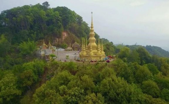 Jingmai Mountain, the Secret Hiding Place of a Thousand-Year Tea Aroma!