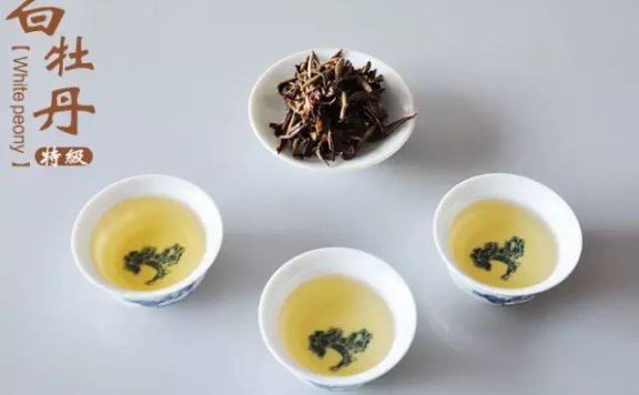 White Tea from Zhenghe: “White Peony”