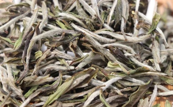 The Grace of White Tea: The Unique Charm of Bai Mudan and Silver Needle