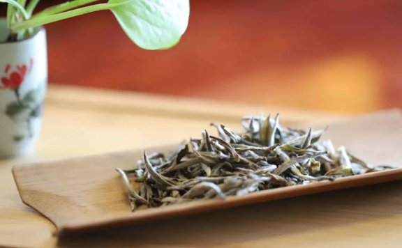 The Correct Way to Savor White Tea: Master These Tips and You’ll Be an Aroma Expert!