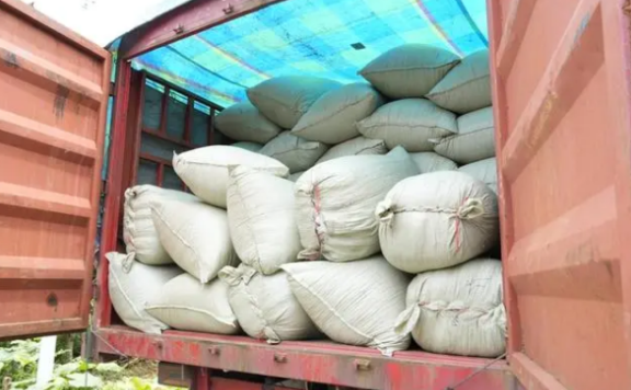 Sinan, Guizhou: First Shipment of 800-Ton Eco-Friendly Tea Order Marks Another Milestone on the Path to Green Development