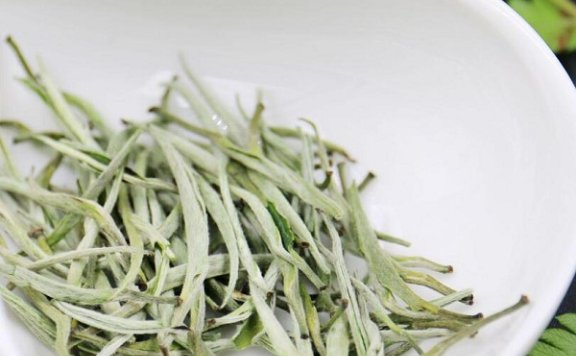 Tailaoshan Green Snow Bud Tea