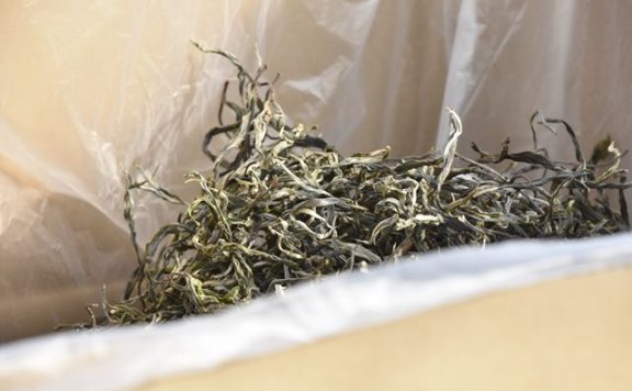 Puer Loose Tea Suitable for Long-Term Storage?