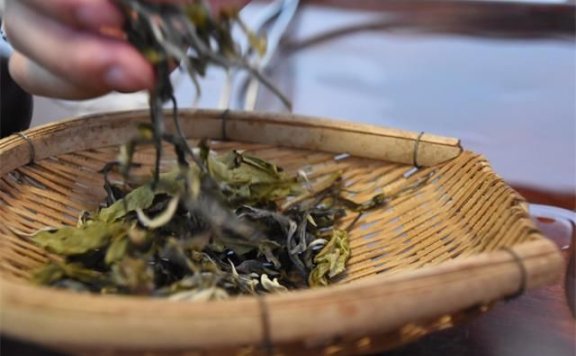 What Constitutes Good Pu’er Tea