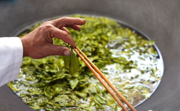 The Sour Tea of Jingmai Mountain: How Elaborate is its Preparation?