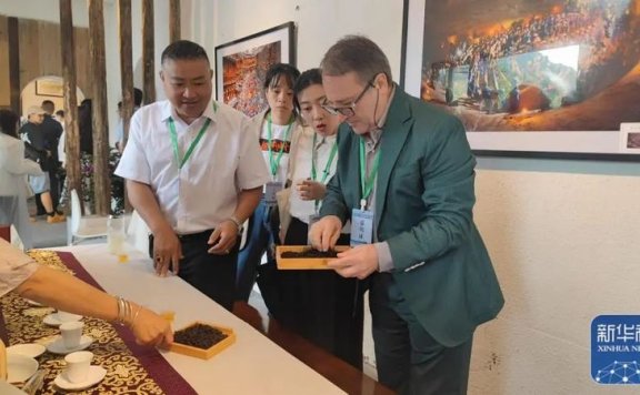 Major Central Media Focus on the Douyun Maojian Tea Conference