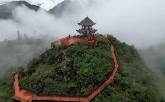 Mezijing Tea Mountain in Yongde County: Fresh Tea Steeps the Heart, Pure Breeze Fills the Hills