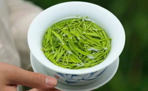 Can Anemic People Drink Green Tea?