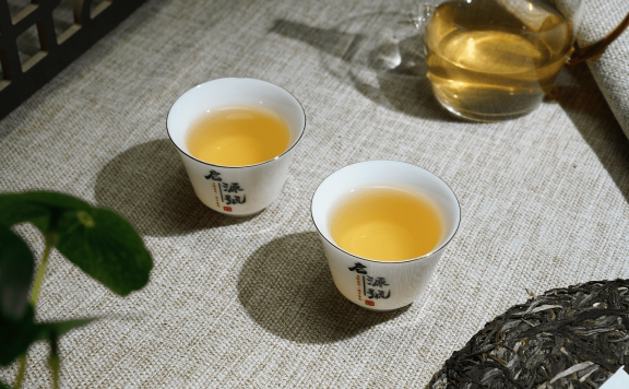 Puer Raw Tea: How to Enjoy This Aged and Richly Flavored Infusion